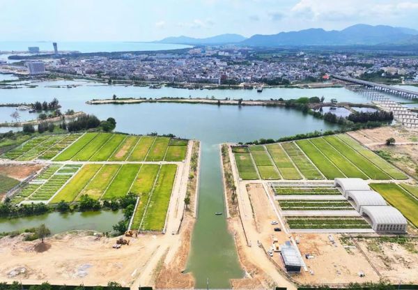 為鹽堿地安上“技術芯片”，托普云農(nóng)打造耐鹽堿水稻科研試驗基地建設解決方案